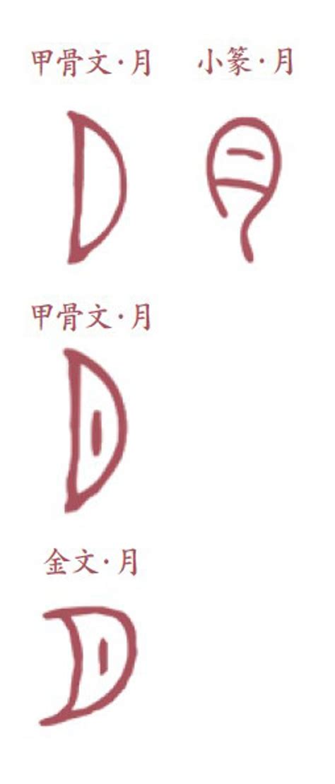 月的古字|漢字「月」：字形演變